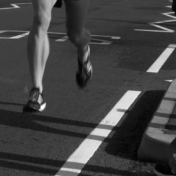 sample_03 Ground truth